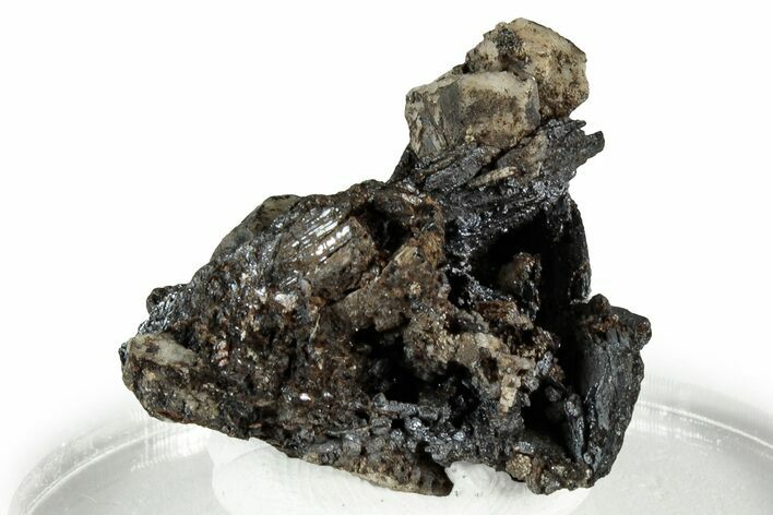 Dark Brown Niobophyllite on Feldspar - Malawi #330860